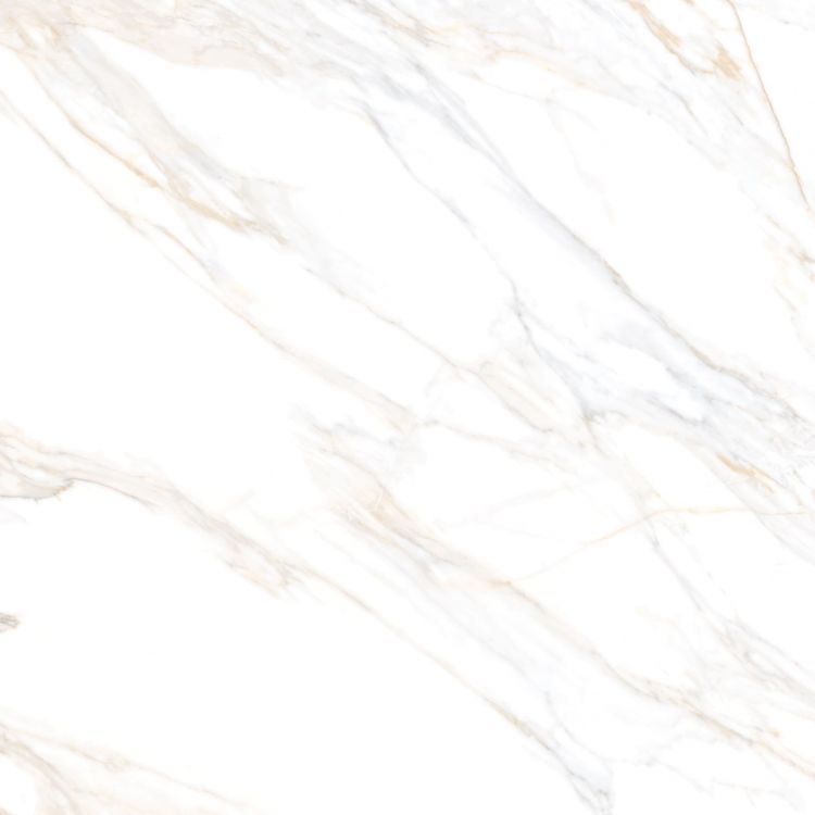 Aurum Calacatta Polished 36 x 36